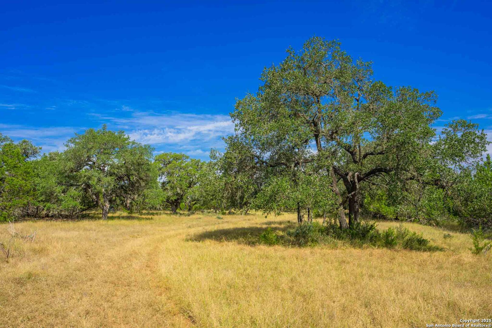 a view of outdoor space with swimming pool
