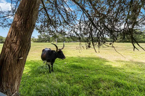 $332,500 | 730 North Sarah Jo Street, La Grange, TX 78945