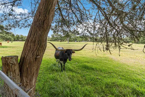 $332,500 | 730 North Sarah Jo Street, La Grange, TX 78945