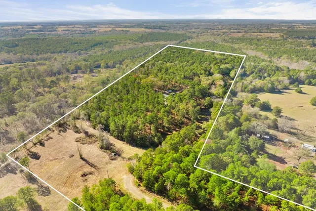 $860,000 | 22924 County Road 223, Arp, TX 75750