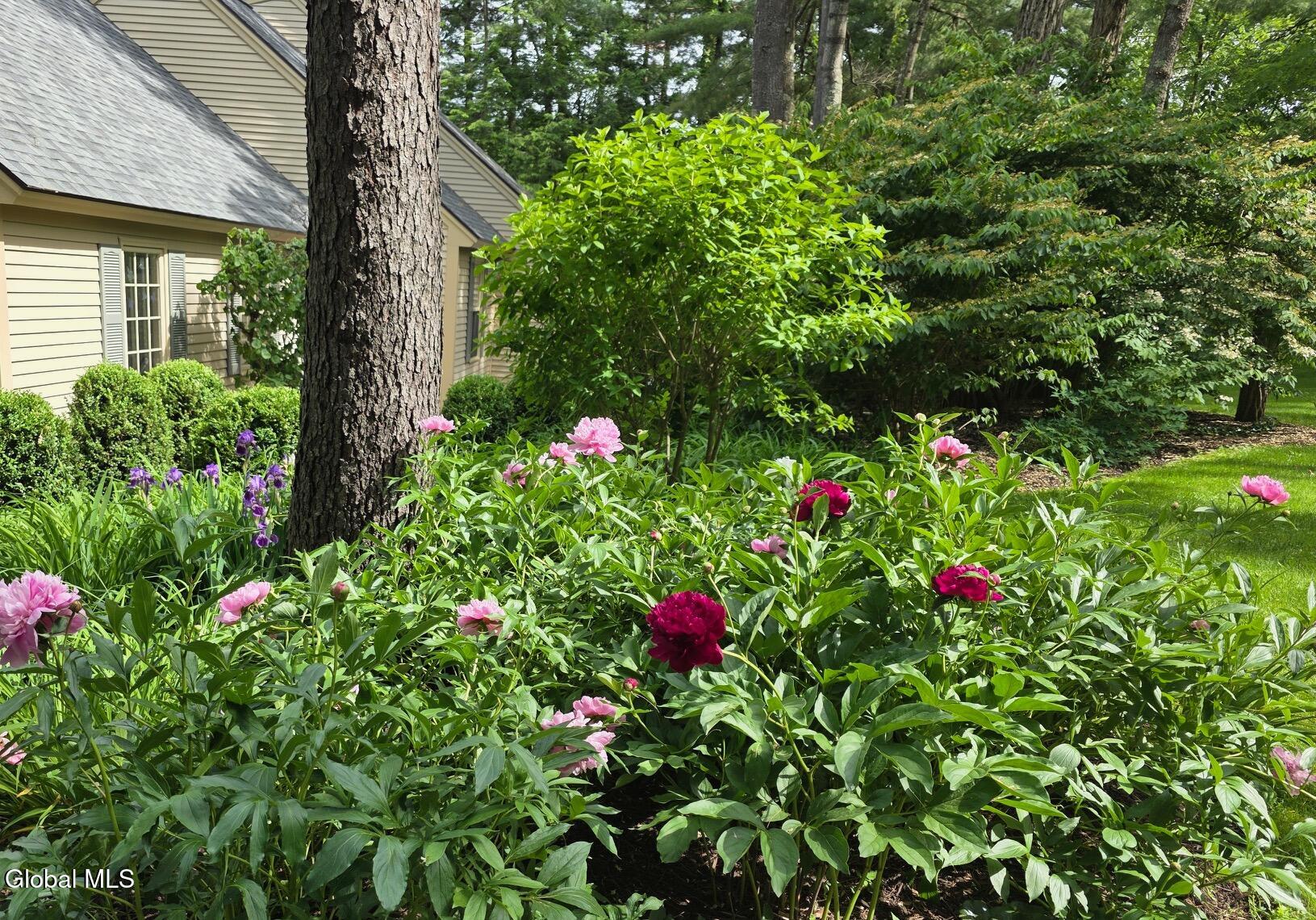 218 Swift Road Voorheesville, NY 12186 - Photo 57 of 72 20260604_153742