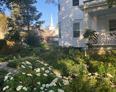 a view of a chairs and table in the backyard