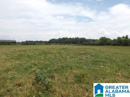 0 Highway 24 Oneonta Al Oneonta, AL 35121 - Photo 19 of 27