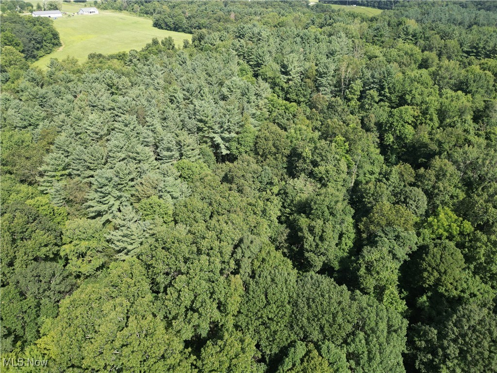 Toll Gate Road Northwest Somerset, OH 43783 - Photo 2 of 40 Aerial view of property's location with a forest
