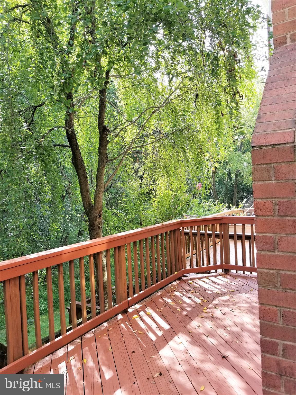 10955 Rocky Mt Way Silver Spring, MD 20902 - Photo 12 of 30 a view of a wooden deck