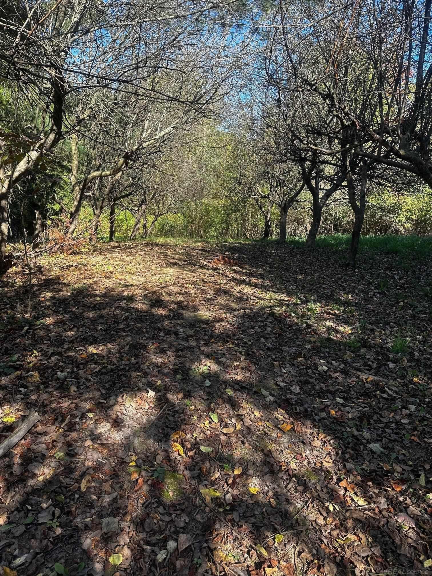 10688 Beardslee Road Perry, MI 48872 - Photo 32 of 32 50157681-ffca6443-a540-469d-b76e-01addd2630b6.JPG