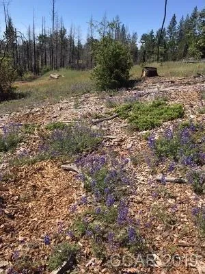 $61,000 | 6321 Old Emigrant Trail, Unit 123, Mountain Ranch, CA 95246