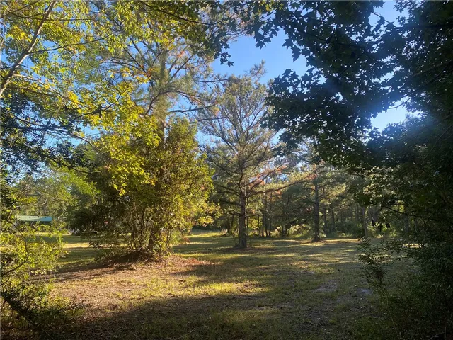 $30,000 | Shellman Bluff (lot A) Northeast Shellman Bluff, Townsend, GA 31331