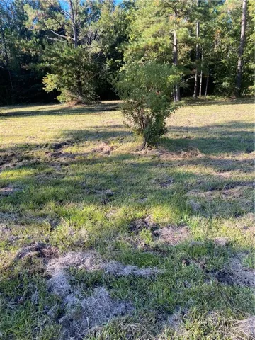 $30,000 | Shellman Bluff (lot A) Northeast Shellman Bluff, Townsend, GA 31331