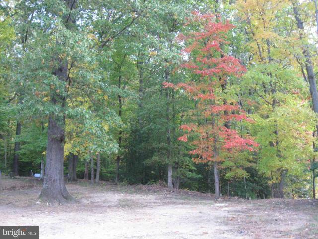 19115 Wayne Drive Triangle, VA 22172 - Photo 3 of 5 Exterior (Rear)