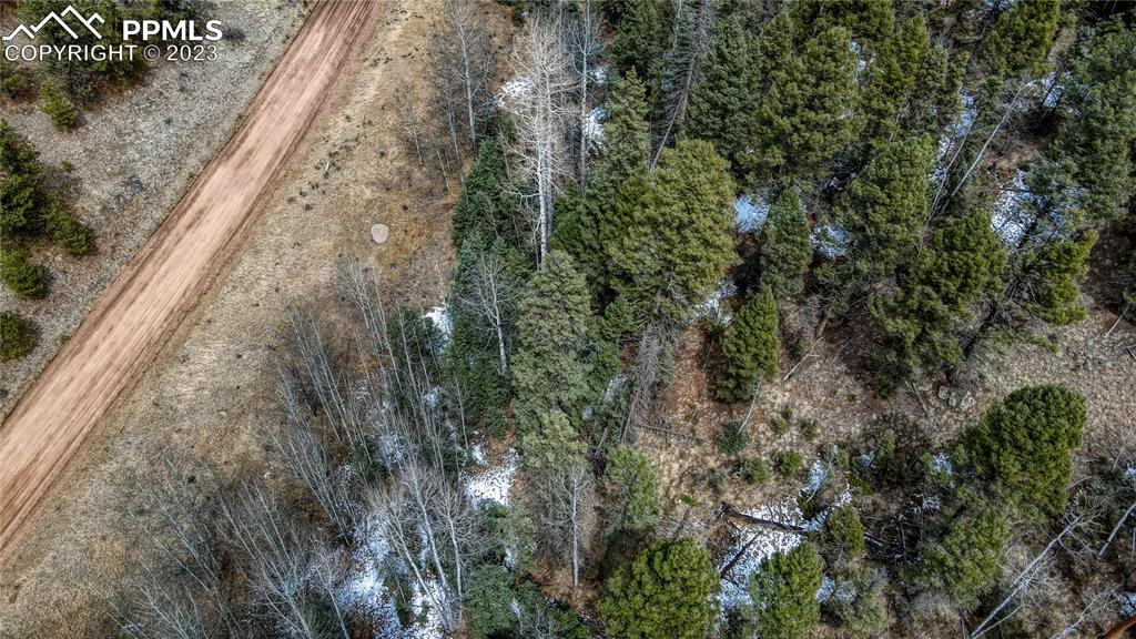 662 Spring Valley Lane Florissant, CO 80816 - Photo 13 of 25 a view of a yard