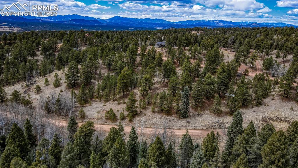 662 Spring Valley Lane Florissant, CO 80816 - Photo 15 of 25 a view of a yard with wooden fence