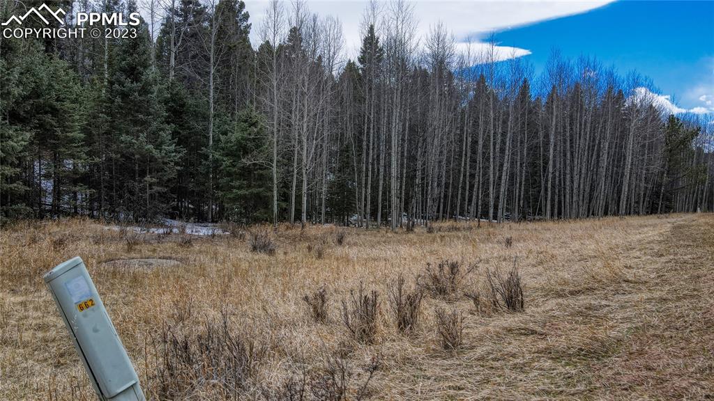 662 Spring Valley Lane Florissant, CO 80816 - Photo 2 of 25 a view of wooden fence