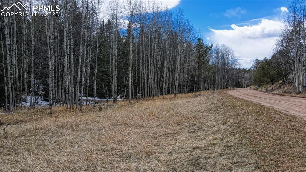 662 Spring Valley Lane Florissant, CO 80816 - Photo 24 of 25 a view of wooden fence under a large tree