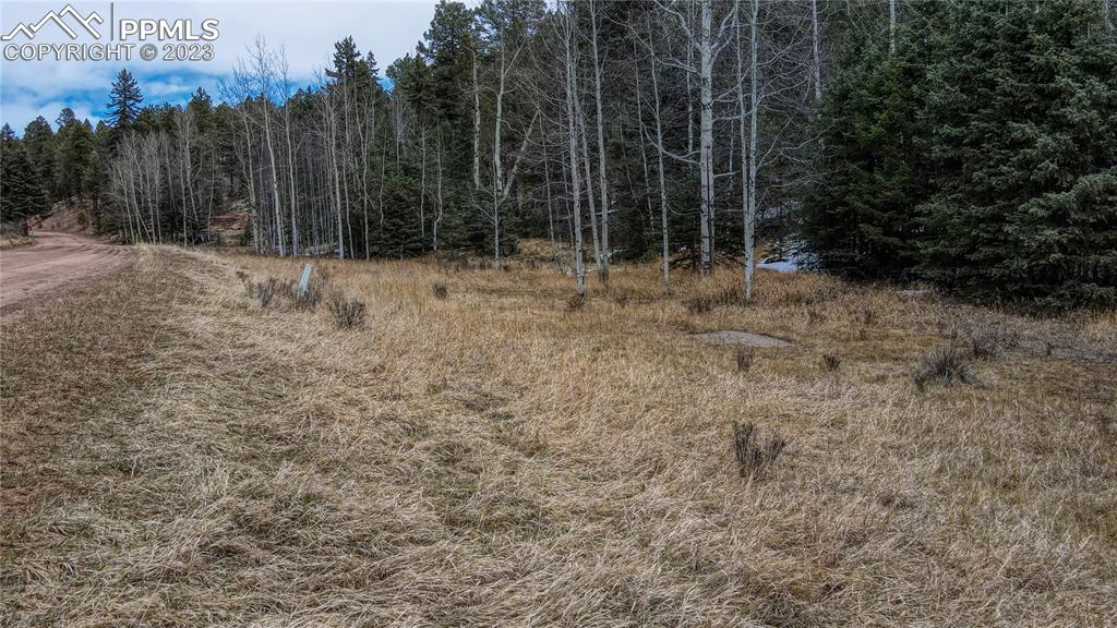 662 Spring Valley Lane Florissant, CO 80816 - Photo 25 of 25 a view of outdoor space with wooden fence
