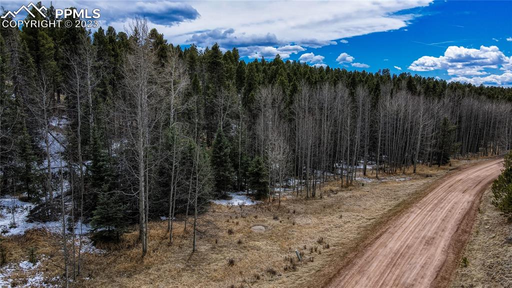 662 Spring Valley Lane Florissant, CO 80816 - Photo 3 of 25 a view of a backyard with a trees