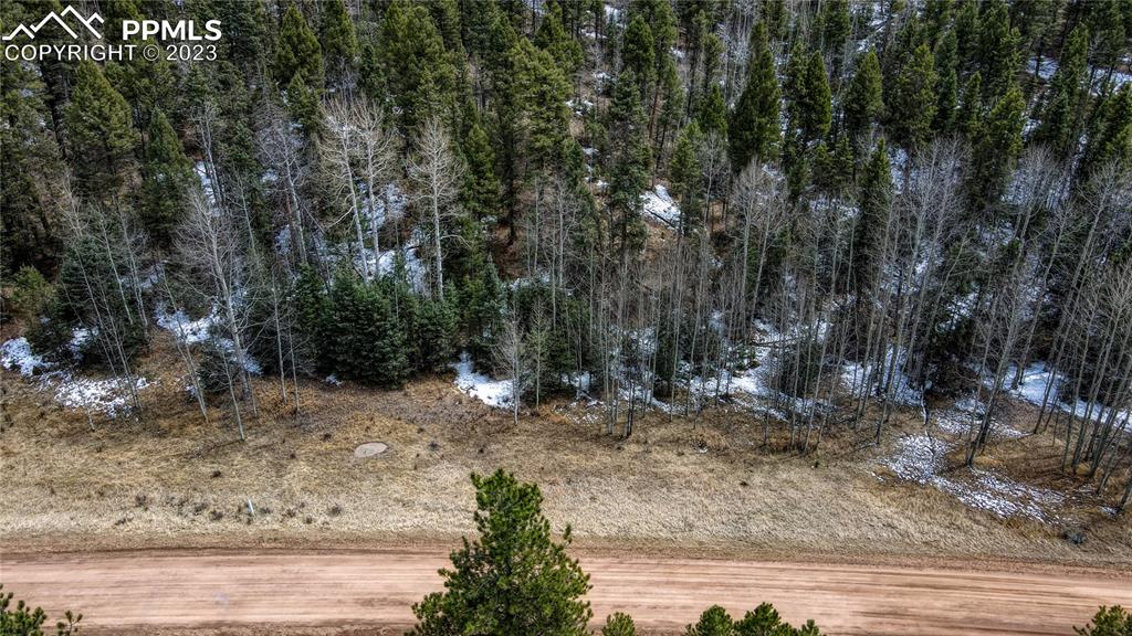 662 Spring Valley Lane Florissant, CO 80816 - Photo 7 of 25 a view of a yard with large trees