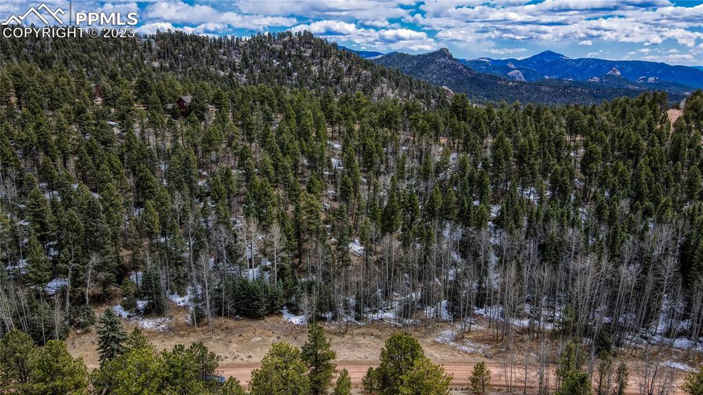 662 Spring Valley Lane Florissant, CO 80816 - Photo 8 of 25 a view of a city with lush green forest