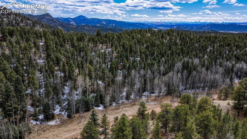 662 Spring Valley Lane Florissant, CO 80816 - Photo 9 of 25 a view of a city with lush green forest