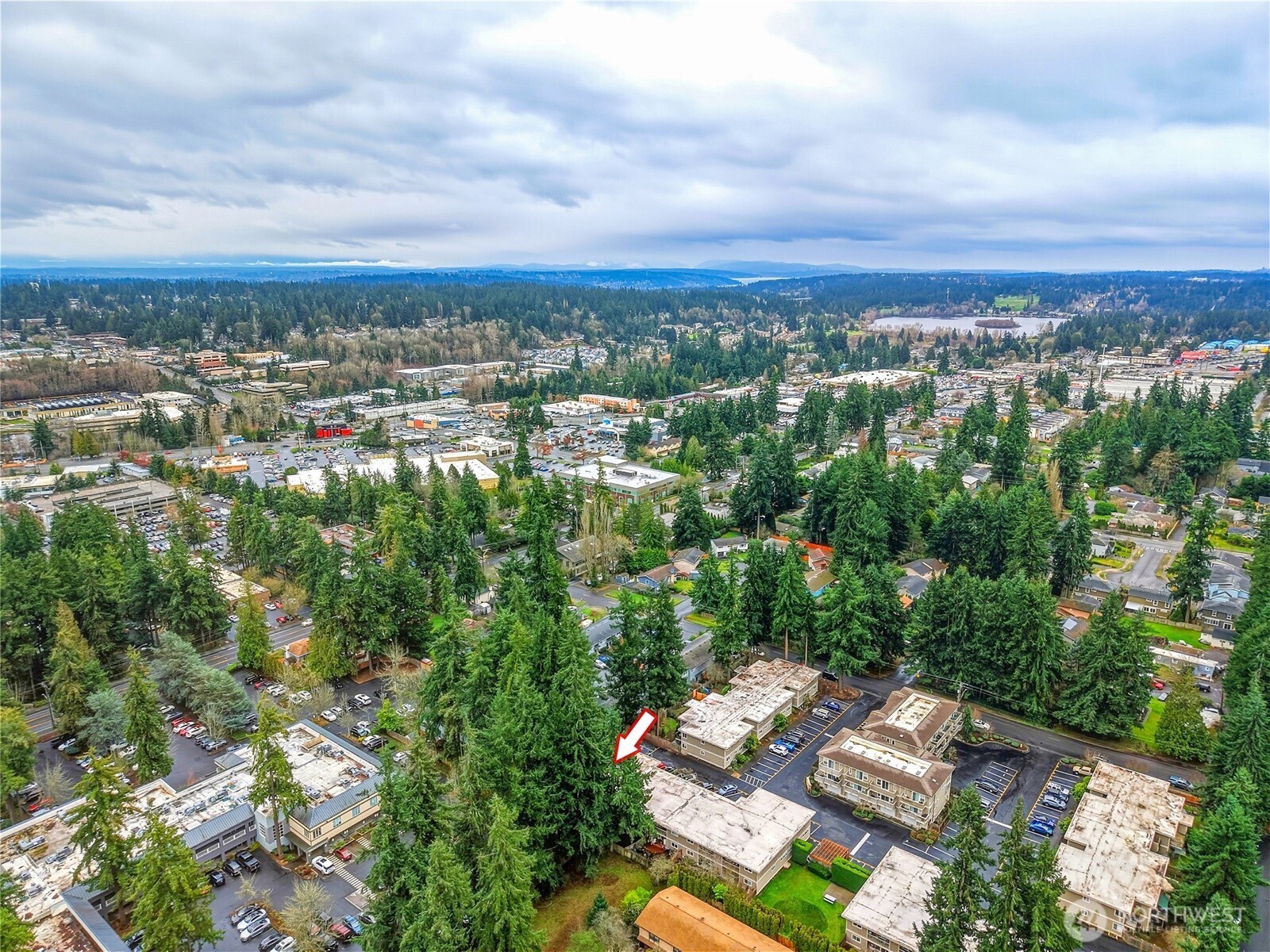 7809 218th Street Southwest, Unit 12 Edmonds, WA 98026 - Photo 34 of 34 an aerial view of residential house with outdoor space and trees