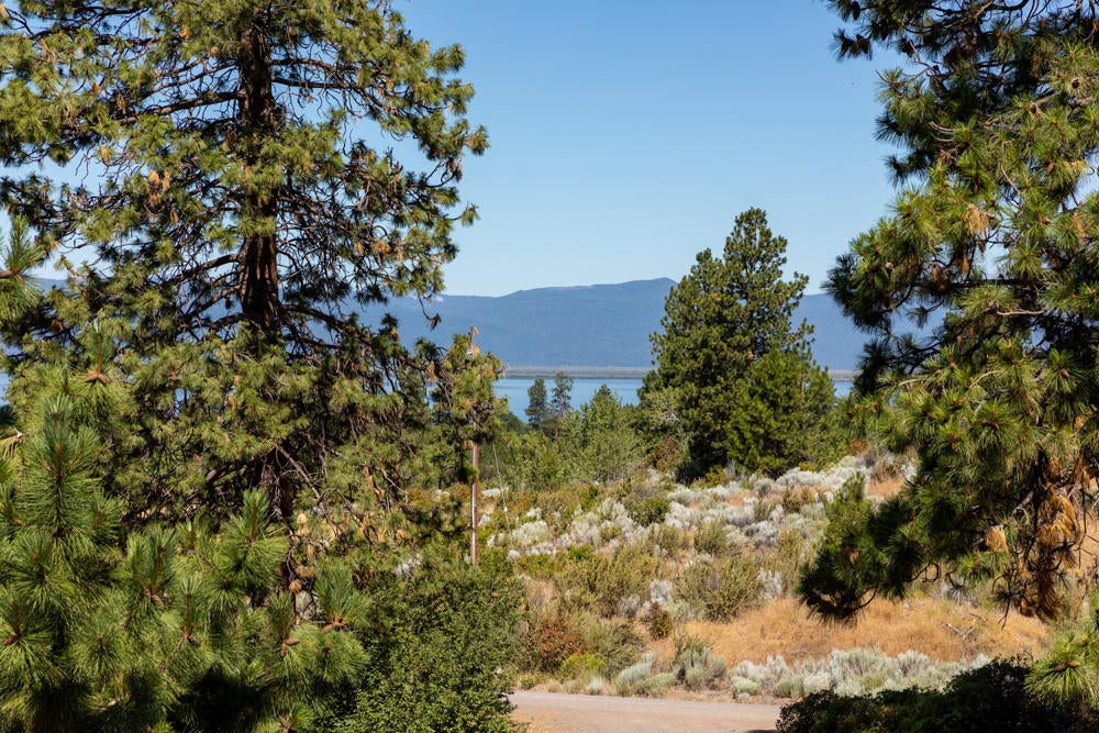 2938 Ranch Road Chiloquin, OR 97624 - Photo 53 of 69 2938RanchRd.-49