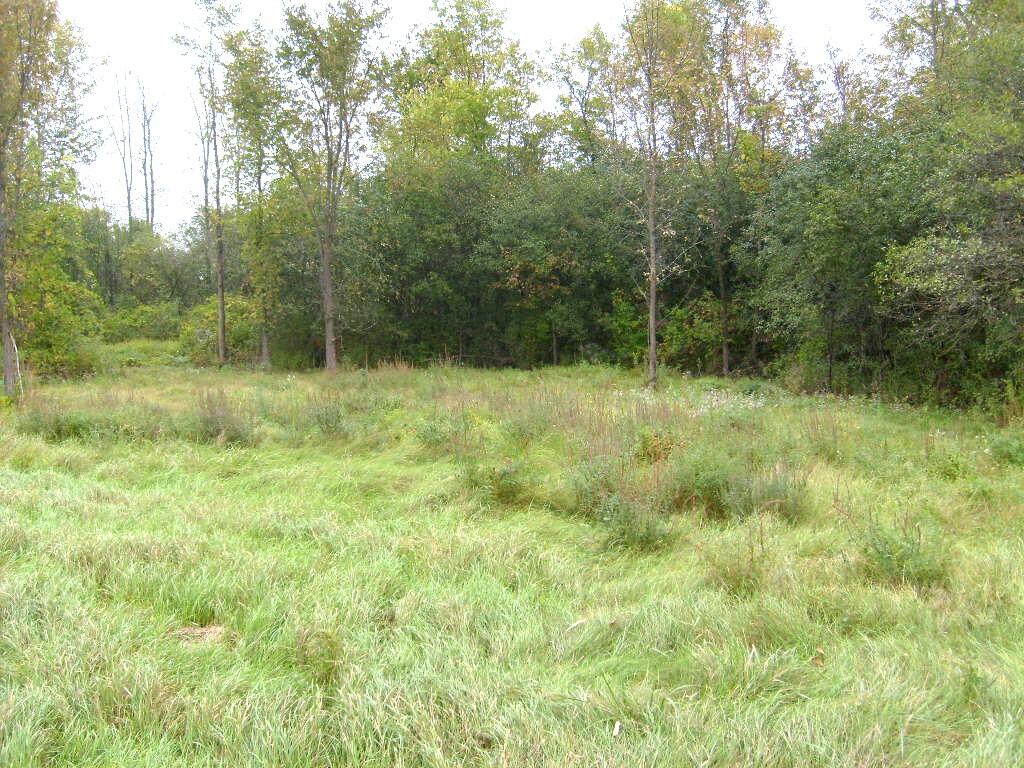 0 Bridge Road Crown Point, NY 12928 - Photo 4 of 7 S6303154