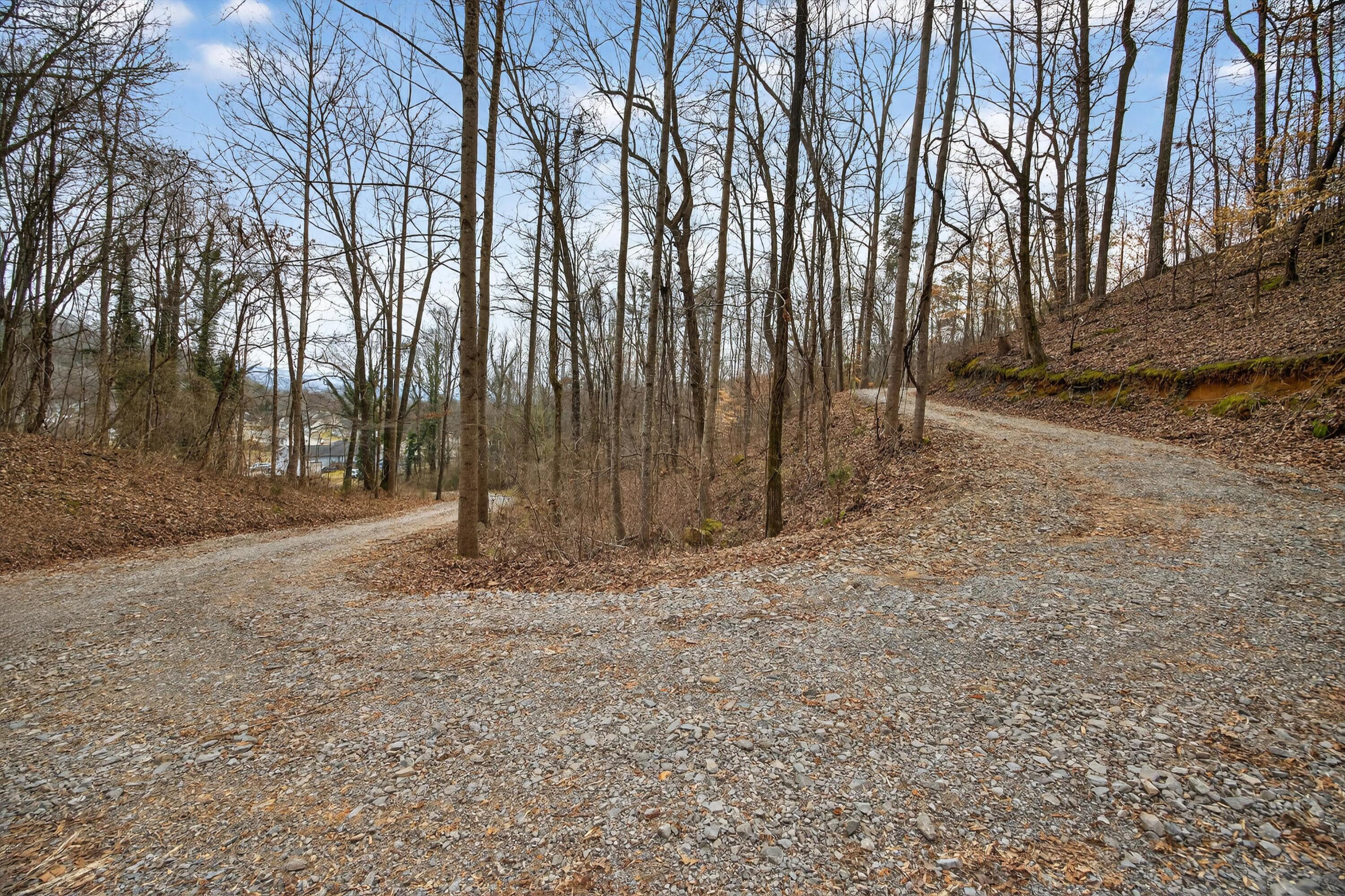 1070 North Pryor Cove Road Jasper, TN 37347 - Photo 25 of 35 Just around a curve up the hill.