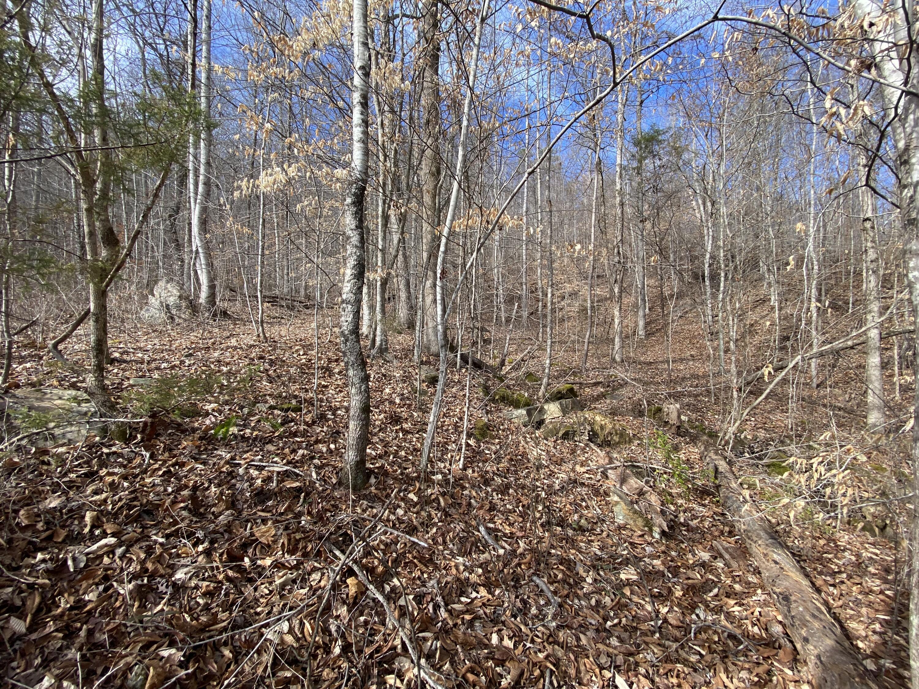 1070 North Pryor Cove Road Jasper, TN 37347 - Photo 28 of 35 20230123210147960853000000-o