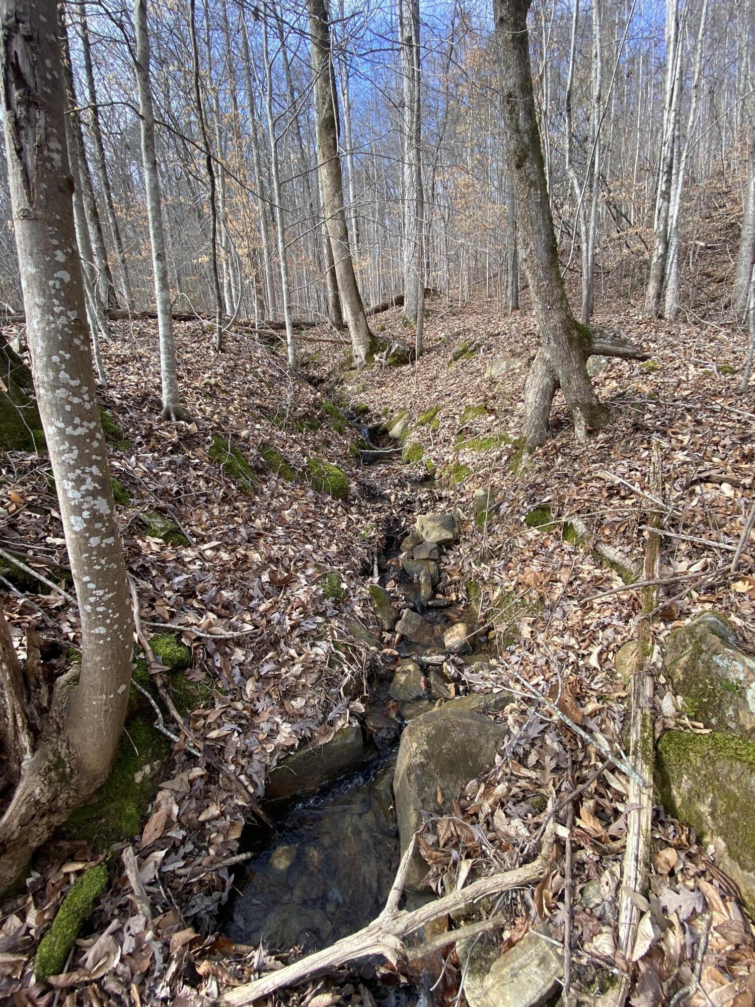 1070 North Pryor Cove Road Jasper, TN 37347 - Photo 29 of 35 20230123210153563069000000-o