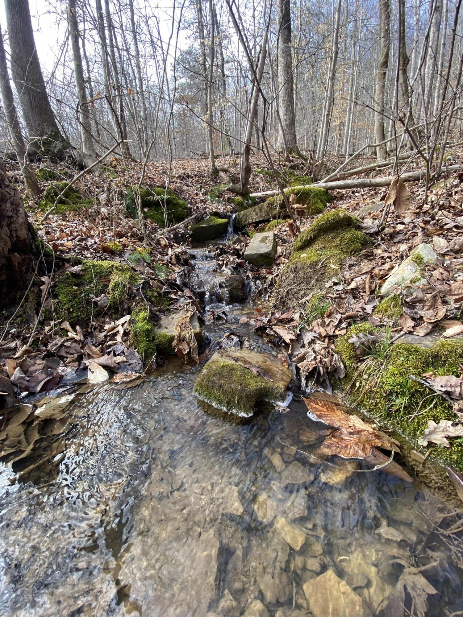 1070 North Pryor Cove Road Jasper, TN 37347 - Photo 30 of 35 20230123210125103788000000-o