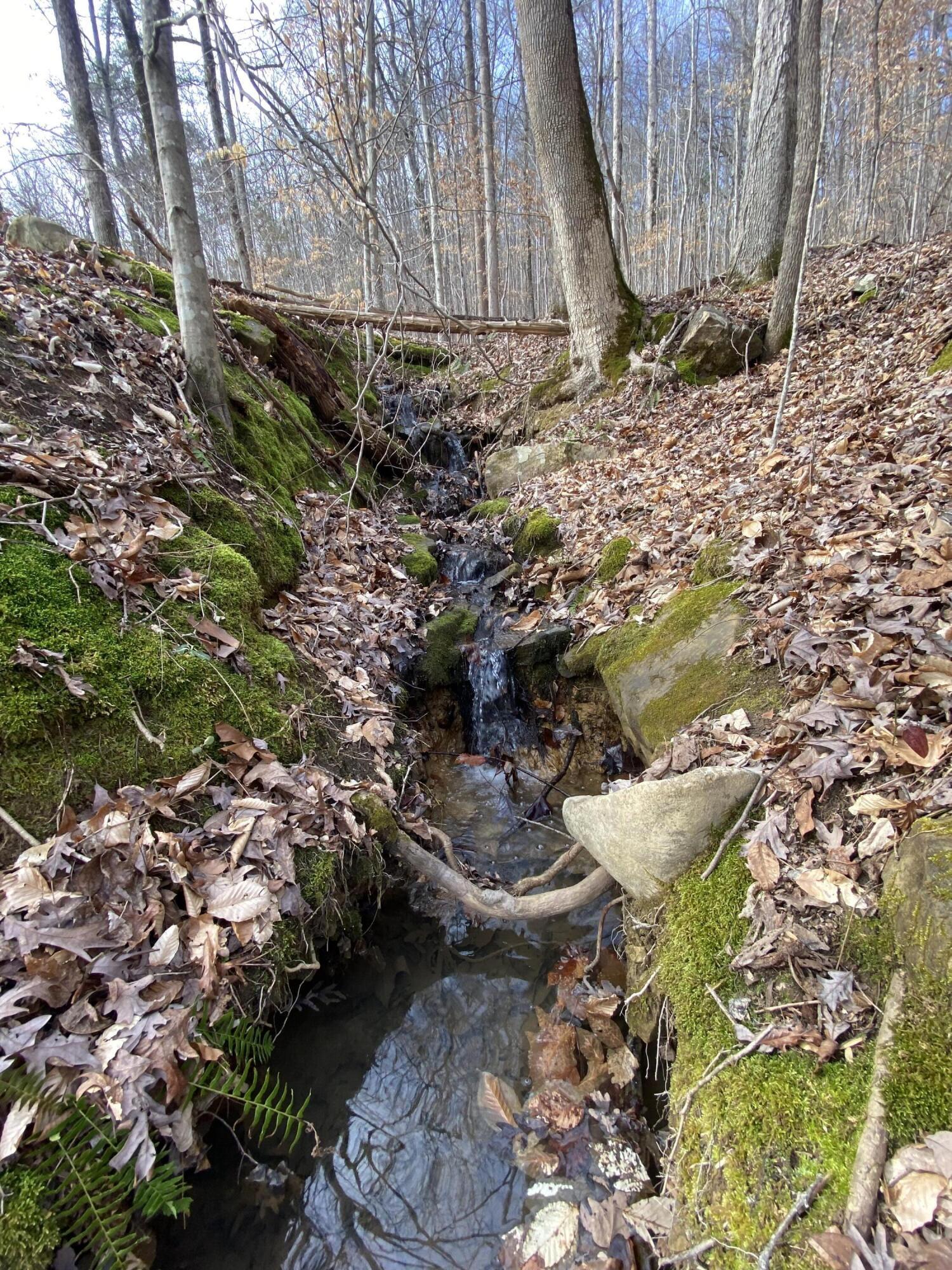 1070 North Pryor Cove Road Jasper, TN 37347 - Photo 31 of 35 20230123210134746300000000-o