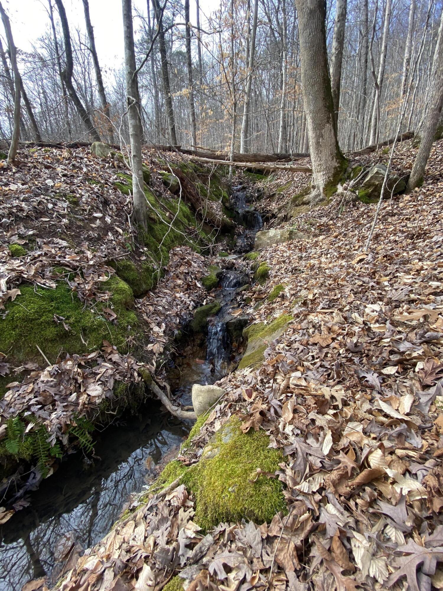 1070 North Pryor Cove Road Jasper, TN 37347 - Photo 32 of 35 .