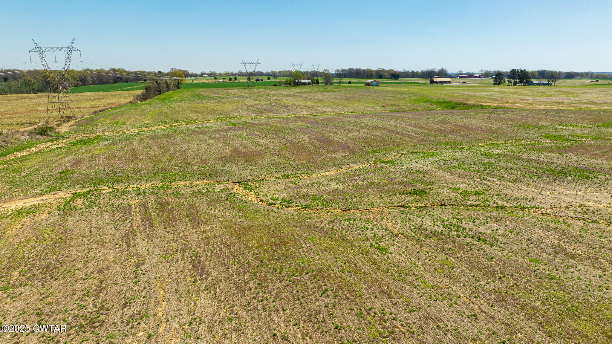 193 Macedonia Church Road Sharon, TN 38255 - Photo 8 of 11 DJI_20250325125059_0045_D