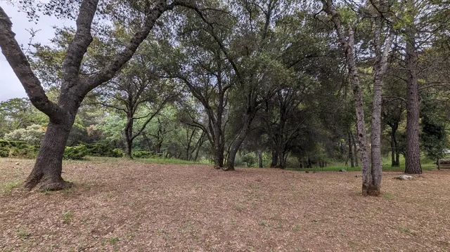 $485,000 | 8209 Mountain Meadows Drive, Mountain Ranch, CA 95246