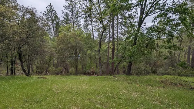 $485,000 | 8209 Mountain Meadows Drive, Mountain Ranch, CA 95246