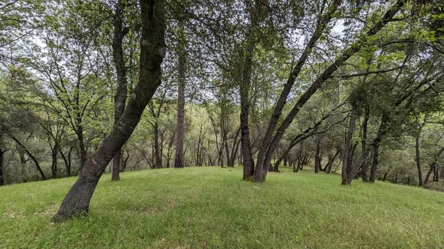 $485,000 | 8209 Mountain Meadows Drive, Mountain Ranch, CA 95246