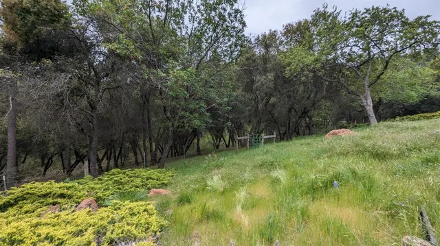 $485,000 | 8209 Mountain Meadows Drive, Mountain Ranch, CA 95246