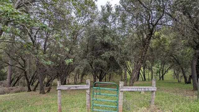 $485,000 | 8209 Mountain Meadows Drive, Mountain Ranch, CA 95246