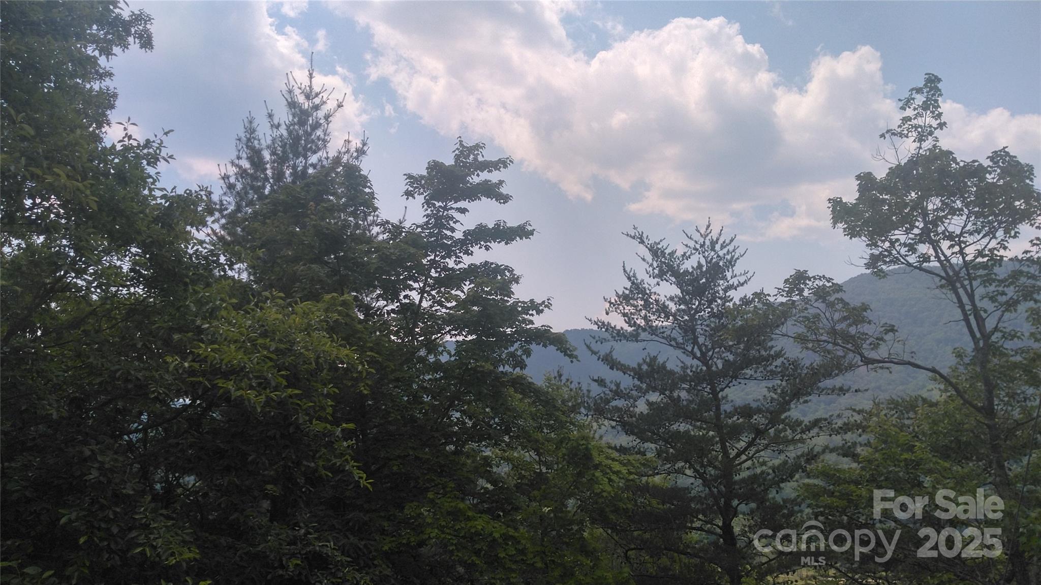 Lot 2 Seminole Path Marion, NC 28752 - Photo 11 of 13