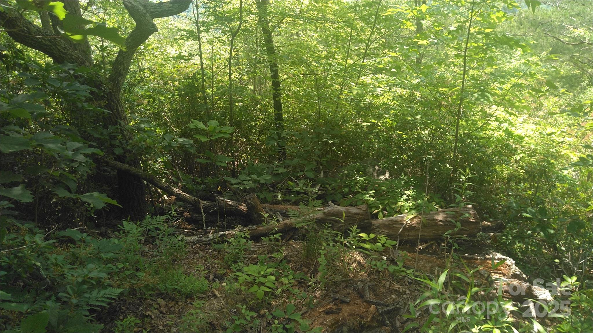 Lot 2 Seminole Path Marion, NC 28752 - Photo 5 of 13