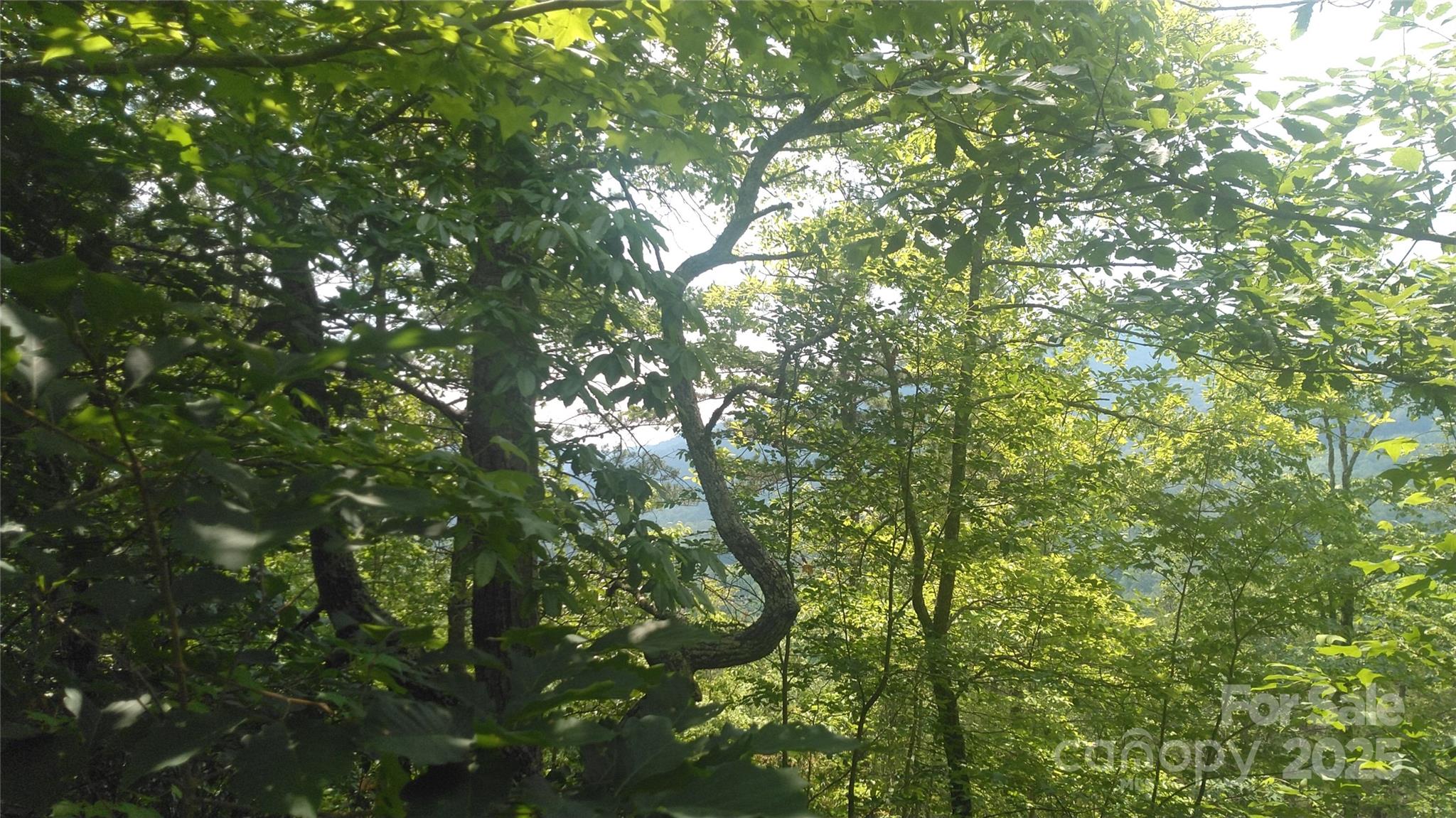 Lot 2 Seminole Path Marion, NC 28752 - Photo 6 of 13