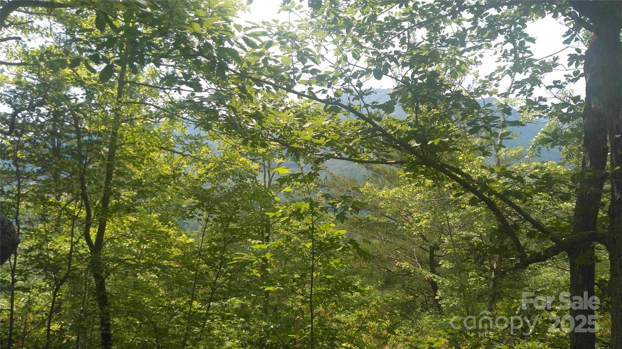 Lot 2 Seminole Path Marion, NC 28752 - Photo 7 of 13