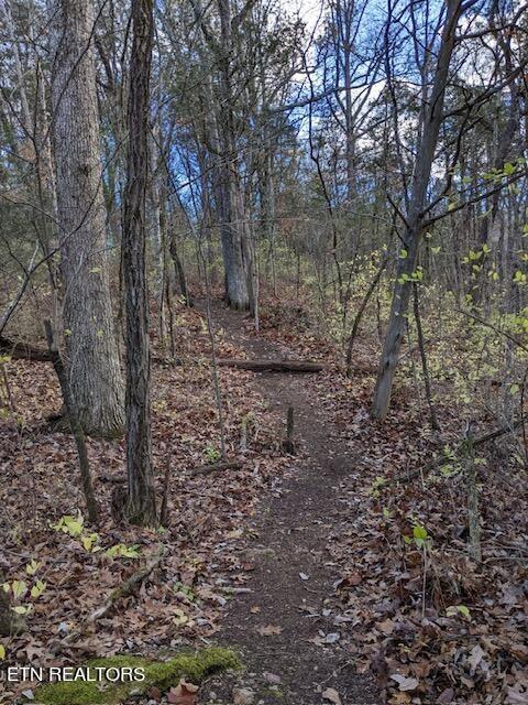 0 Brown Mountain Loop Road Knoxville, TN 37920 - Photo 20 of 24 Gallery Image 20