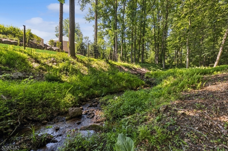 119 Mosle Road Far Hills, NJ 07931 - Photo 43 of 50 a view of a garden with a tree