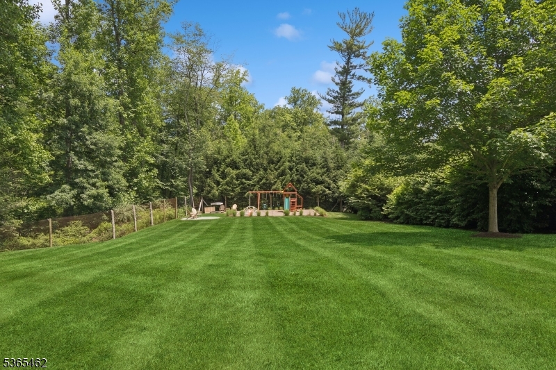 119 Mosle Road Far Hills, NJ 07931 - Photo 46 of 50 a view of a grassy field with trees