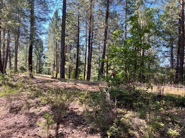 $119,000 | 43 Bottle Hill Road, Georgetown, CA 95634