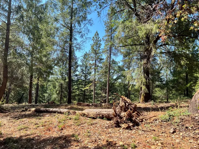 $119,000 | 43 Bottle Hill Road, Georgetown, CA 95634