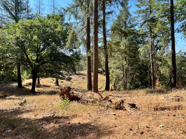 $119,000 | 43 Bottle Hill Road, Georgetown, CA 95634