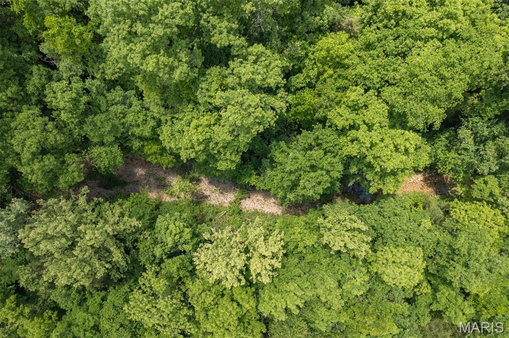 23201 Private Drive Duke, MO 65461 - Photo 8 of 30