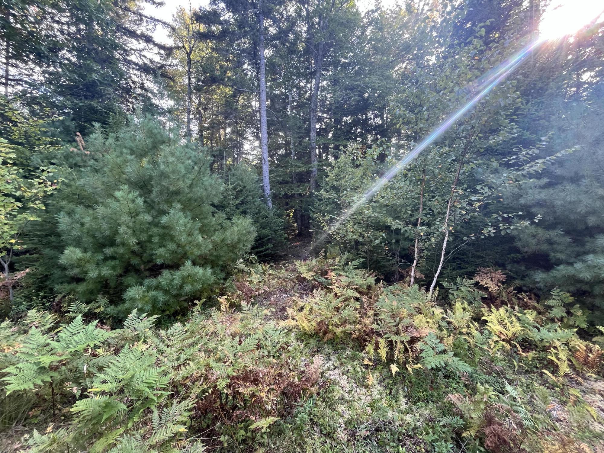 75 Surry Lane Freeport, ME 04032 - Photo 5 of 7 ready for your home!